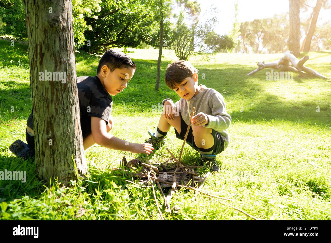 Multiethnische Kinder sammeln Holz für ein Lagerfeuer auf einem Sommerlager. Urlaubskonzept, Natur leben. Stockfoto