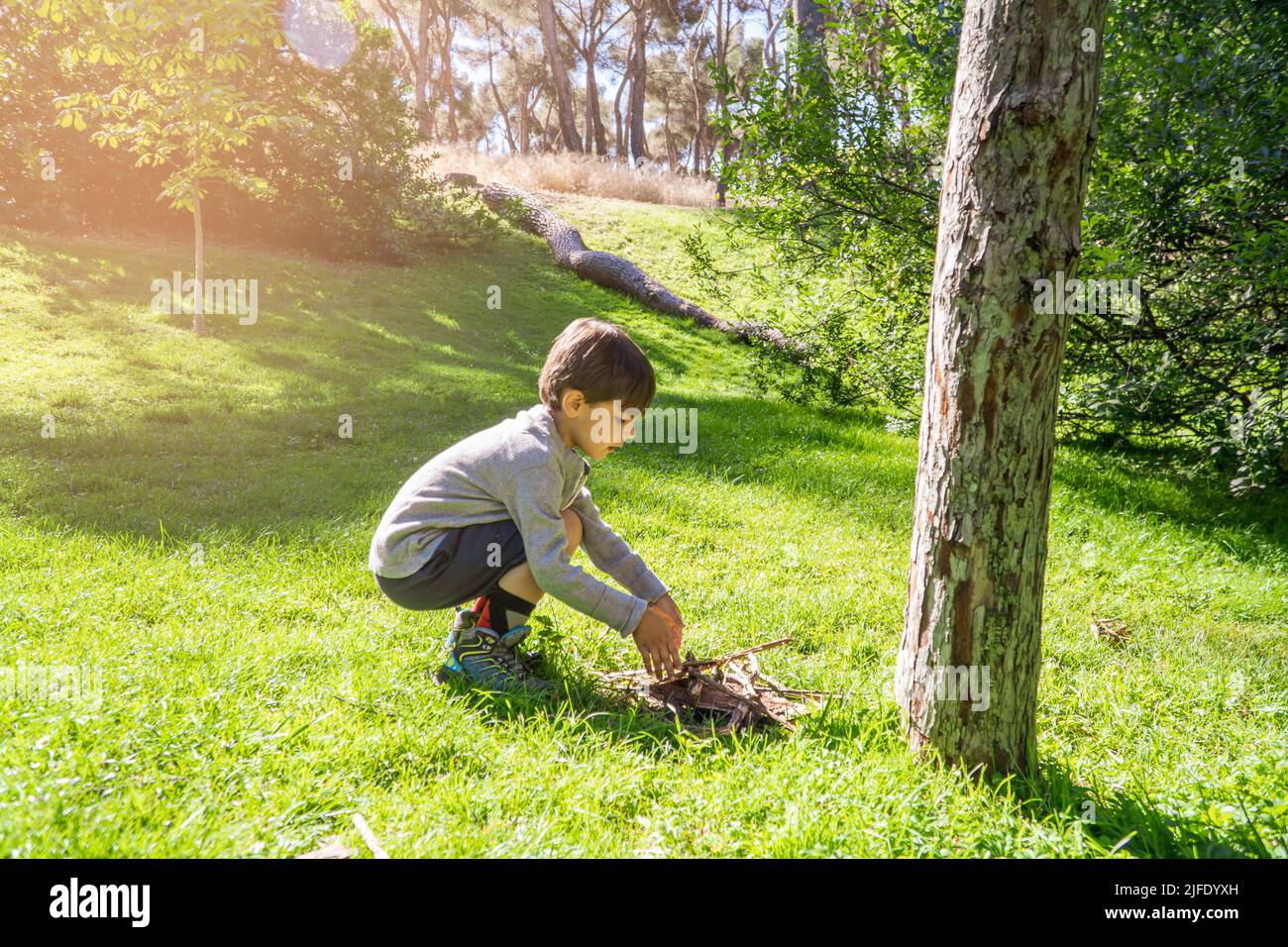 Junge sammelt Holz für einen Feuerkamp auf einem Sommerlager. Urlaubskonzept, Natur leben. Stockfoto