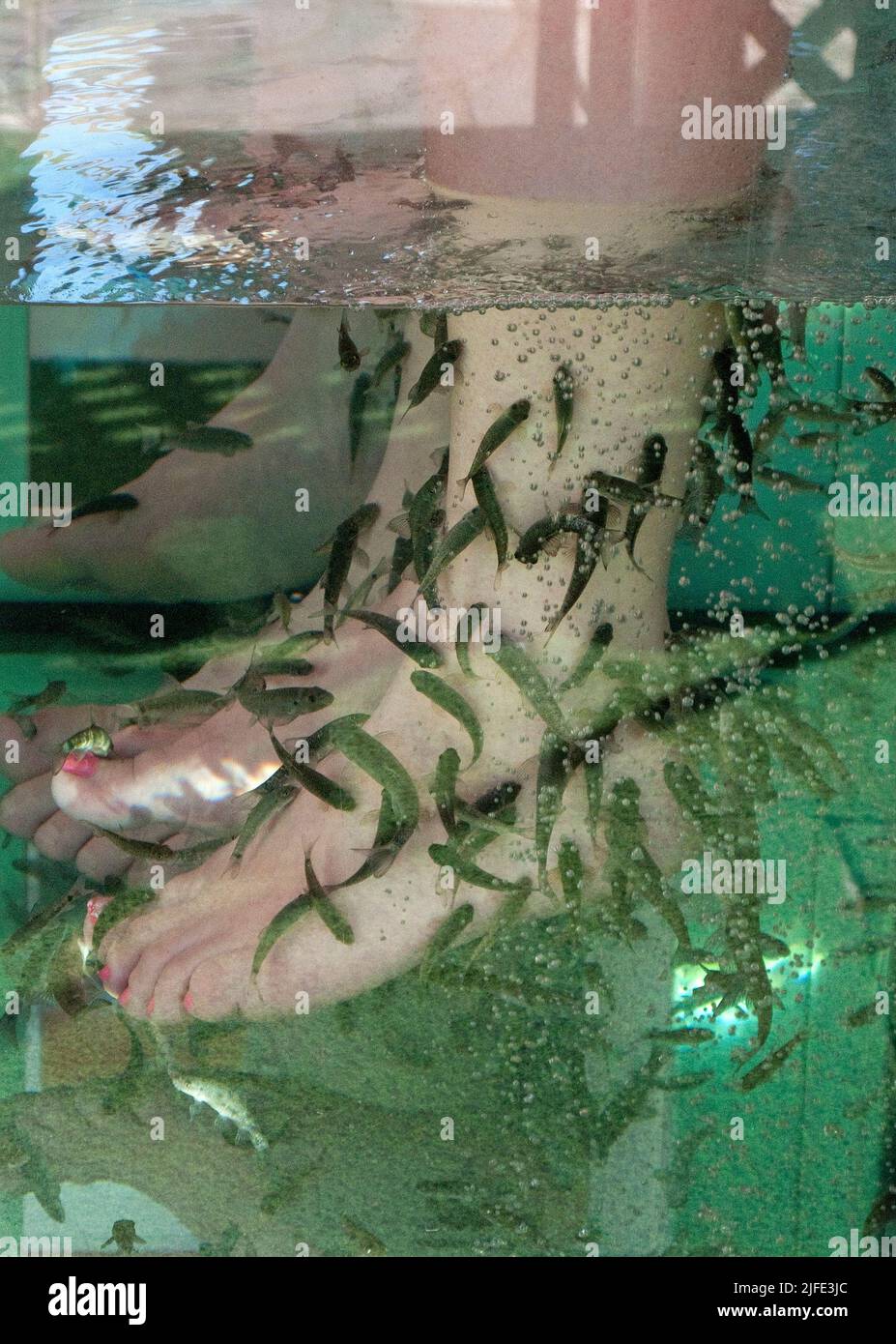 Fish spa -Fotos und -Bildmaterial in hoher Auflösung - Seite 3 - Alamy