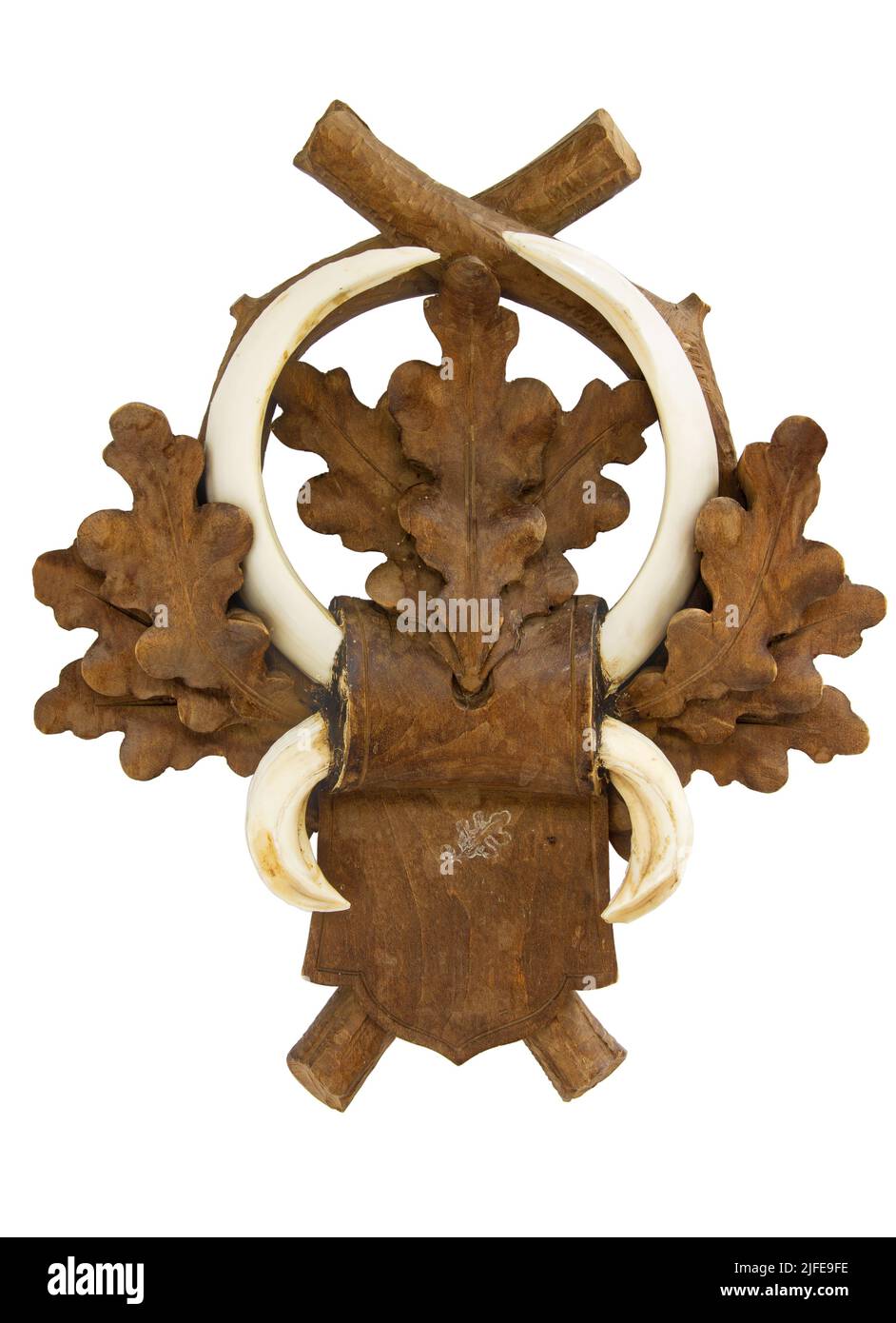 Wildschweinzähne montiert als Trophäe, gejagt im Jahr 1938 Stockfoto