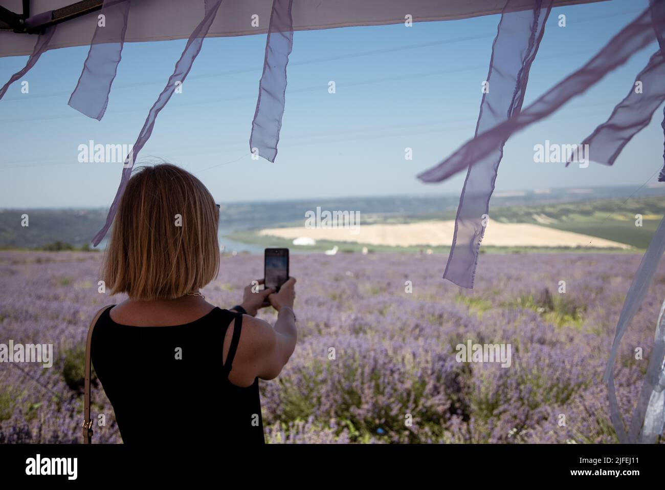 Eine junge Frau fotografiert ein Lavendelfeld am Telefon. Stockfoto