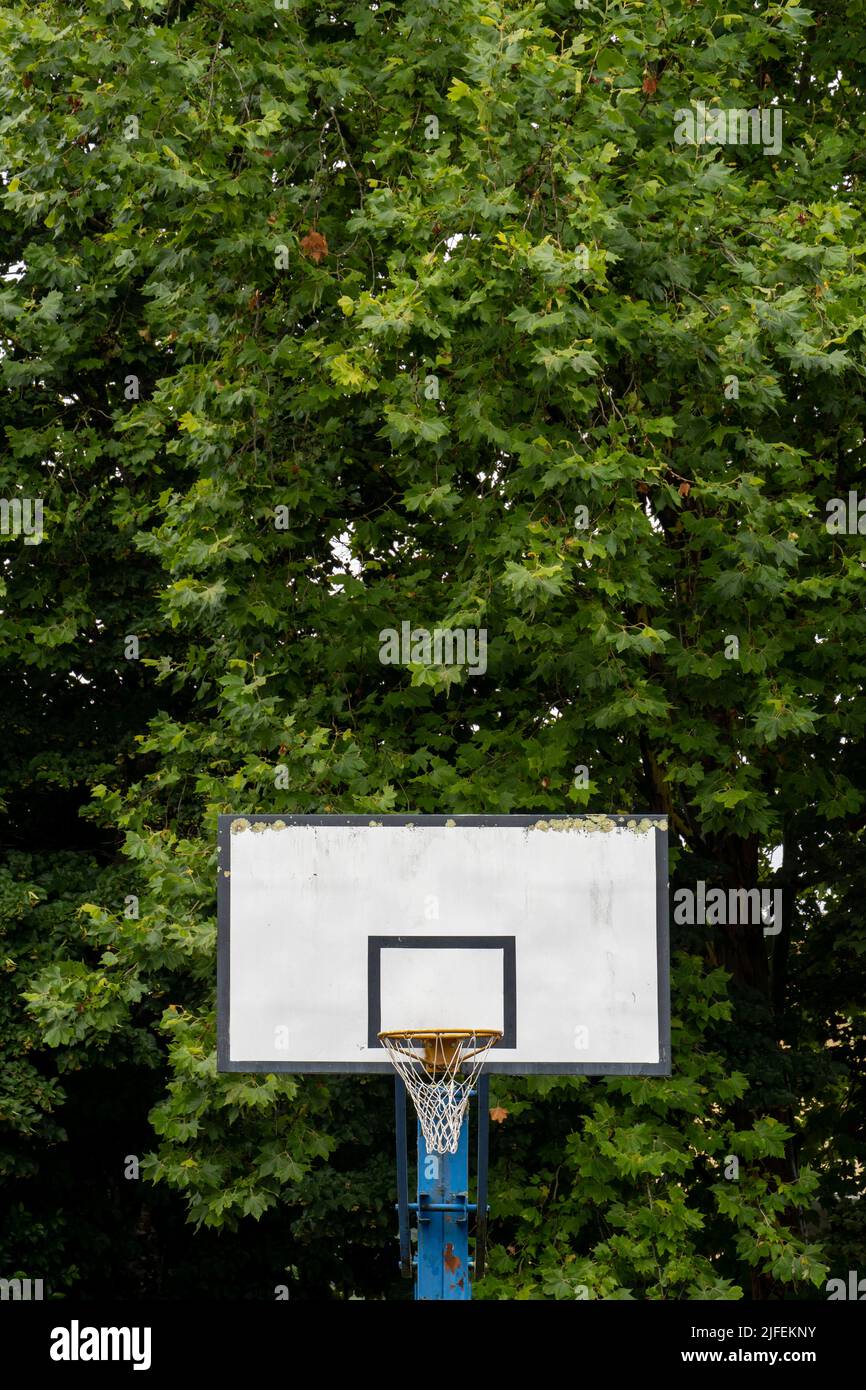 Basketballkorb im Wald Stockfoto