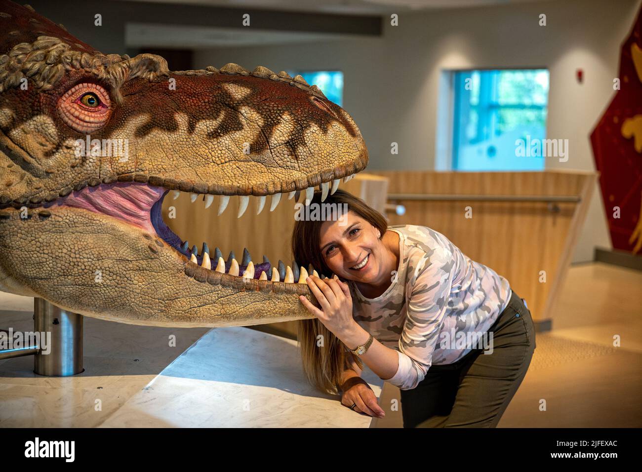Das Royal Tyrrell Museum of Paleontology ist Kanadas einziges Museum, das ausschließlich der Erforschung des prähistorischen Lebens gewidmet ist. Zusätzlich zu einem Stockfoto