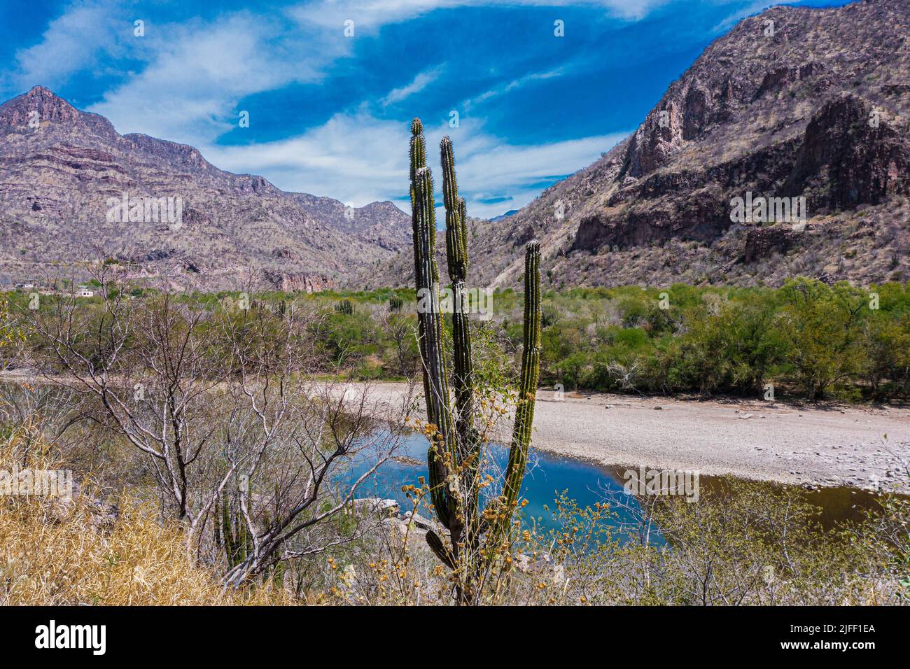 Luftaufnahme des Flusses Yaqui, der durch die Stadt El Novillo in Soyopa, Sonora, fließt. © (Foto von Luis Gutierrez/NortePhoto.com) Vista aera del Río Yaqui en su paso por el Pueblo El Novillo en Soyopa, Sonora. © (Foto von Luis Gutierrez/NortePhoto.com) Stockfoto