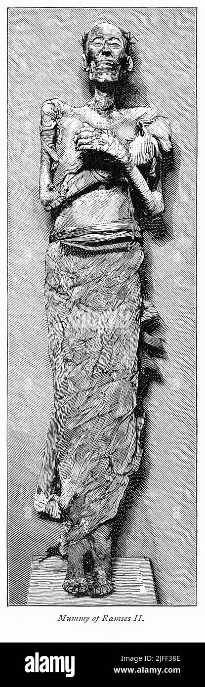 Mumie von Ramses II, Illustration aus dem Buch, 'vom Pharao bis Fellah' von C.F. Moberly Bell mit Illustrationen von Georges Montbard, gestochen von Charles Barbant, Wells Gardner, Darton & Co., London, 1888 Stockfoto
