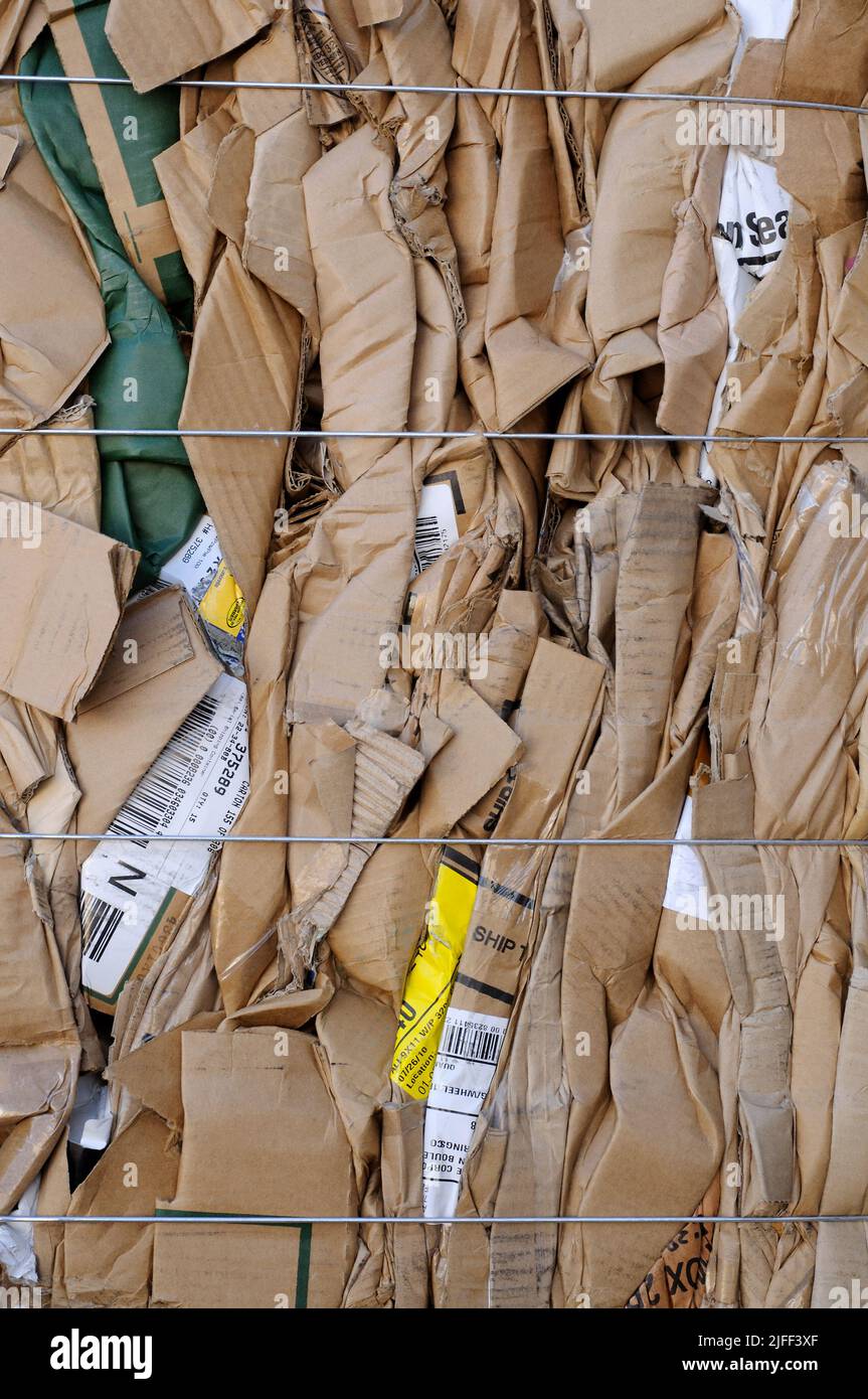 Altkarton zum Recycling Stockfoto