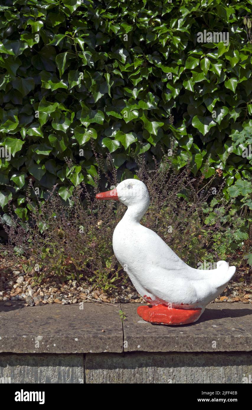 Bemalte weiße Entengartenschmuck an einer Gartenwand Stockfoto