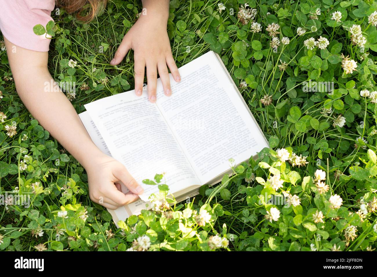 Kleiner Junge, der ein Buch unter einem großen Lindenbaum liest. Hochwertige Fotos Stockfoto