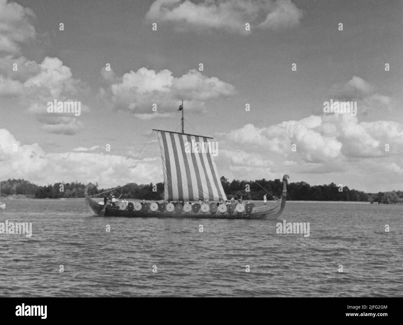 Ormen Friske. Eine Kopie des norwegischen wikingerschiffs Gokstad, das im Frühjahr 1949 auf einer kleinen Werft außerhalb von Trosa gebaut wurde. Es wurde am 12. Juni 1949 gestartet. Am 21. Juni 1950 sank das Schiff in einem Sturm am Deutschen Golf in der Nordsee. Die 15 Menschen an Bord, alle Schweden, starben. An Bord war auf der letzten Reise Sten Schröder, Initiator des Projekts und Leiter des Gesundheitssportverbandes. Stockfoto