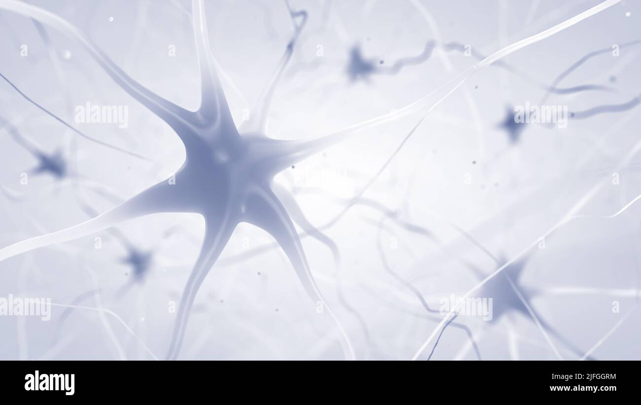 Nervenzellen des menschlichen Gehirns (Neuronen) auf Weiß. Die Neuronen übertragen Informationen zwischen verschiedenen Teilen des Gehirns Stockfoto