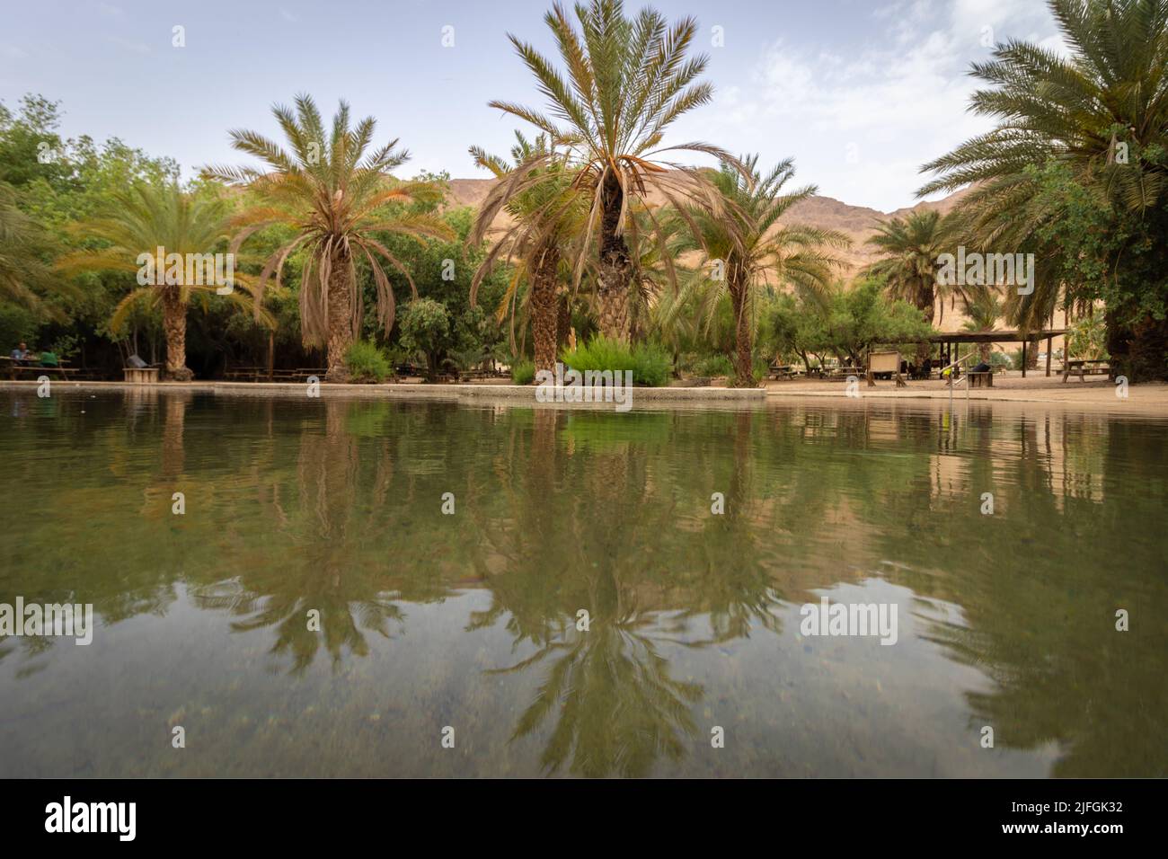 Der schöne Pool ist voll von klarem Wasser in der Mitte des Einot Tzukim Naturreservats, im Norden des Toten Meeres - Israel Stockfoto