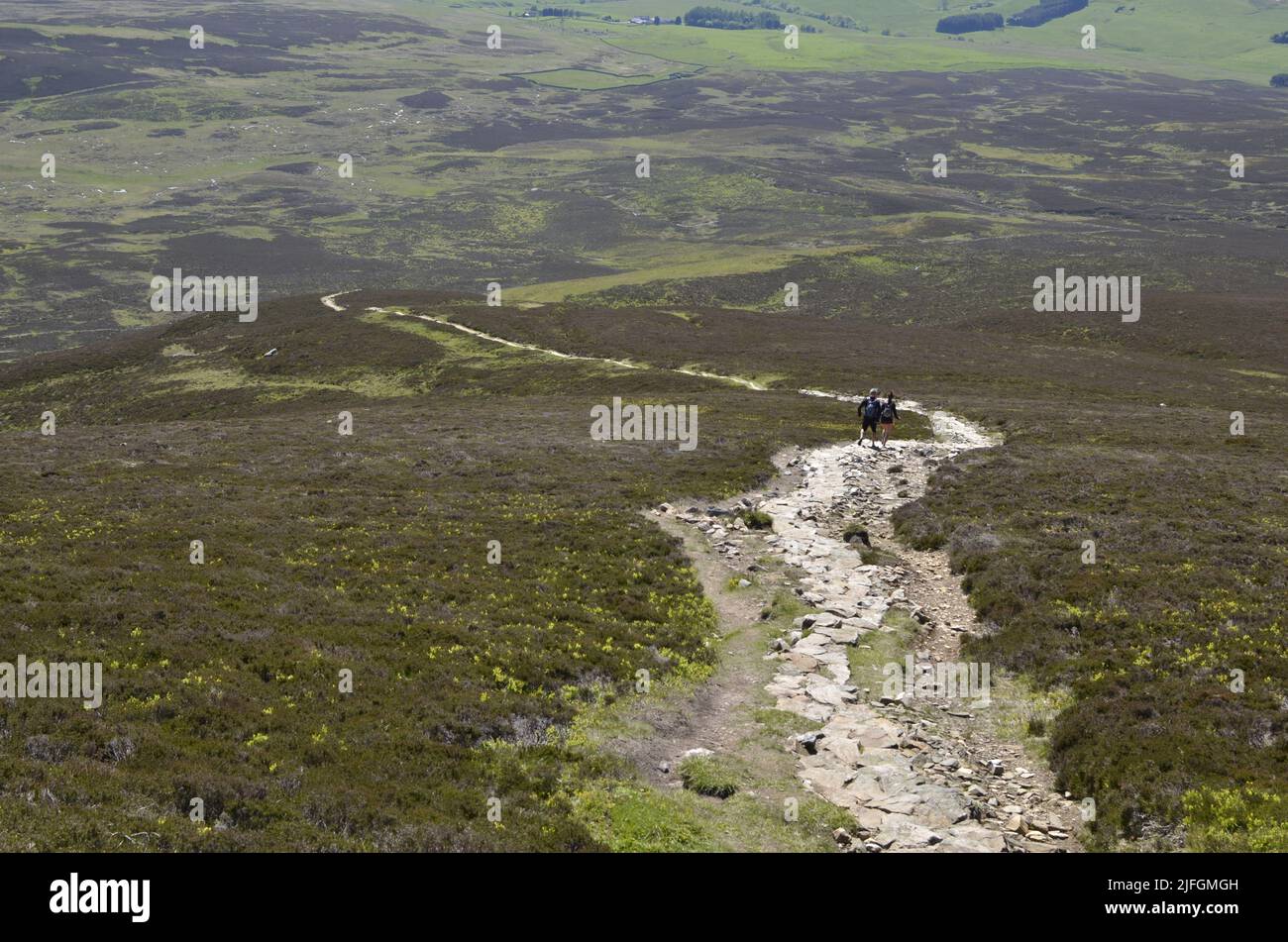 Zwei Läufer steigen vom Gipfel von Carn Liath nach Glen Tilt in der Nähe von Blair Atholl im schottischen Cairngorms ab Stockfoto