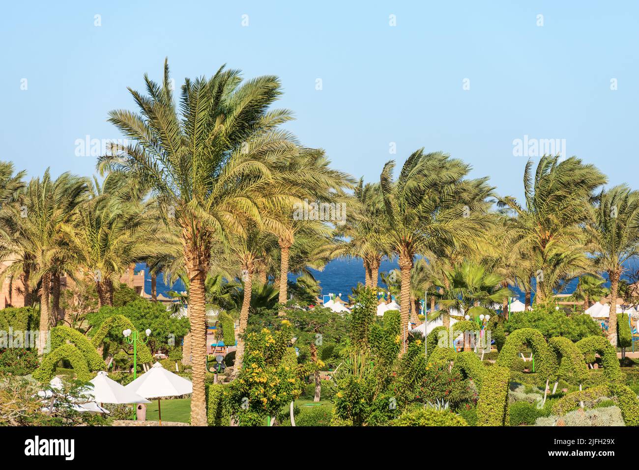 Küste des Roten Meeres in der Nähe von Marsa Alam mit vielen grünen Palmen, Ferienort in Ägypten, Sahara Wüste, Nordafrika. Stockfoto