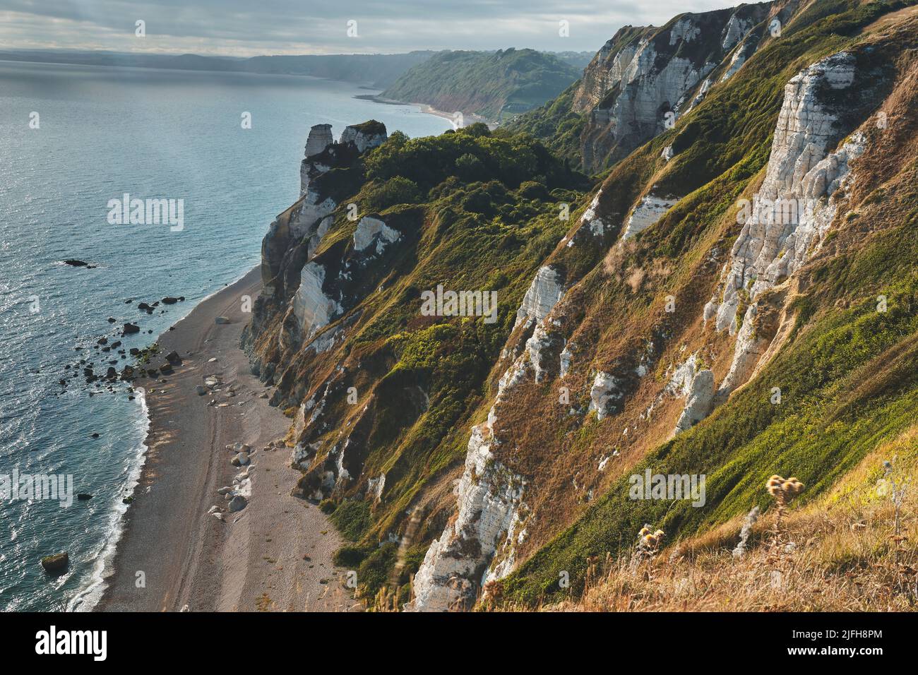 Landschaftsansicht der Kreidefelsen von 'The Hooken, SWCP, Devon Stockfoto