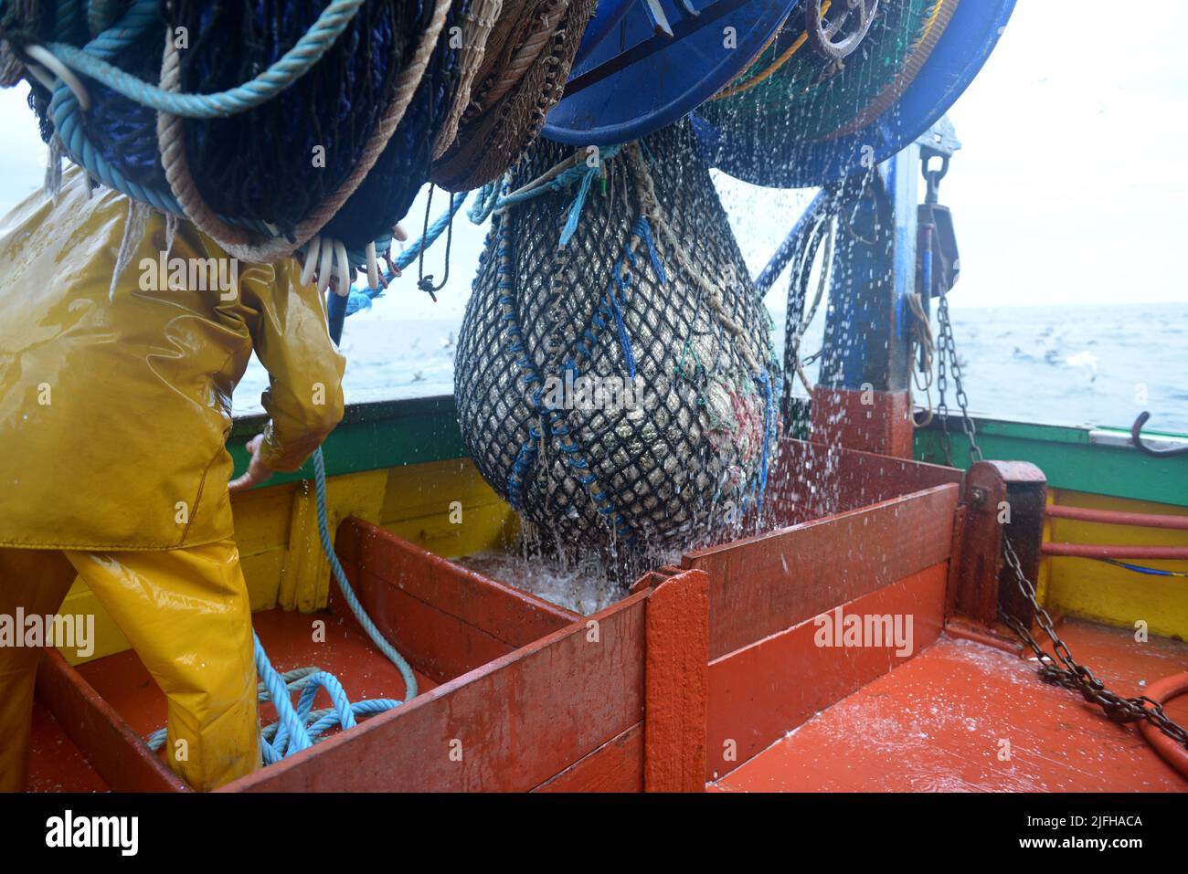 Sardinenfischen in vendée, frankreich Stockfoto