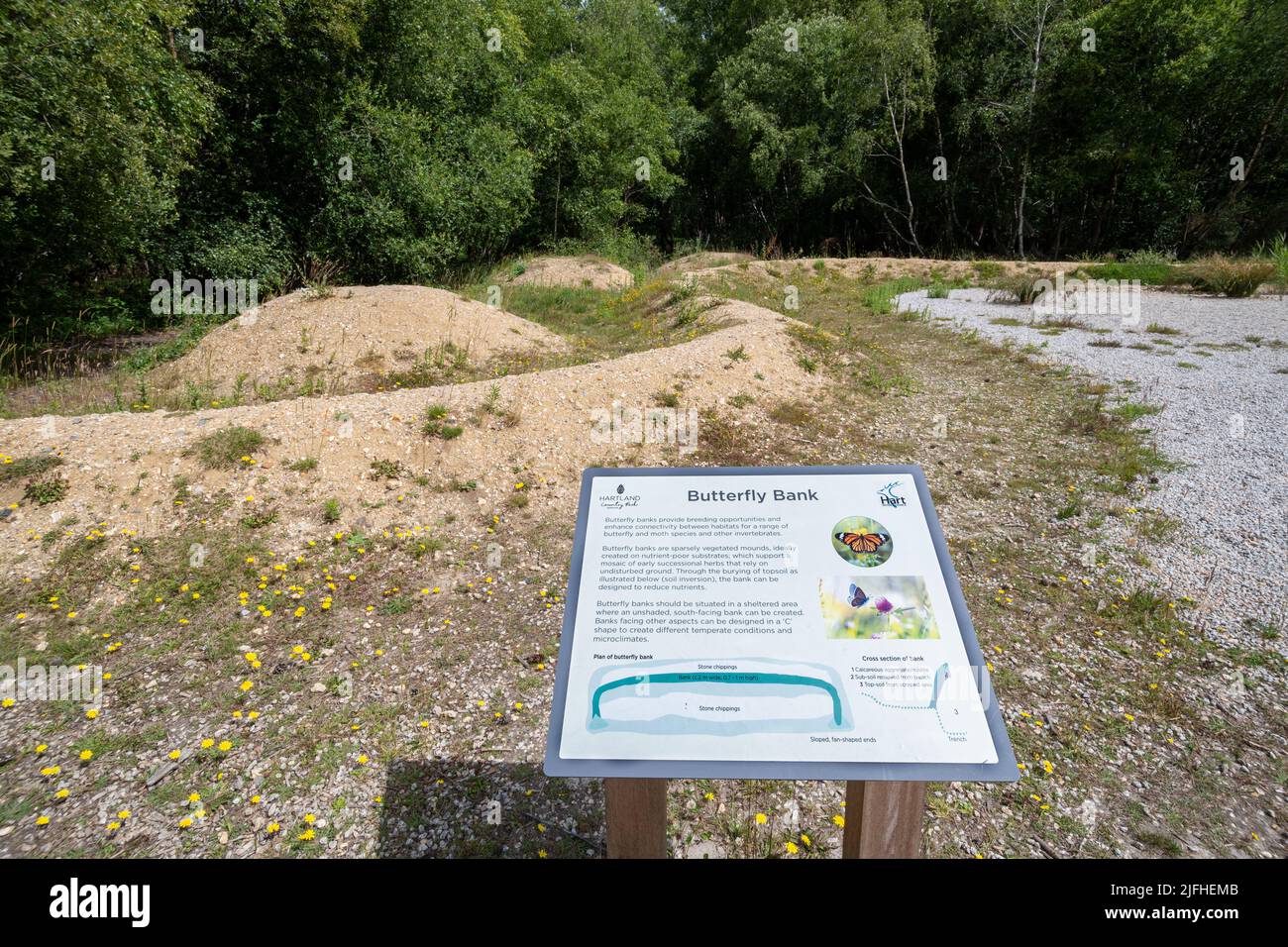 Hartland Country Park in der Nähe von Fleet, Hampshire, England, Großbritannien, mit einer Schmetterlingsbank und einer Informationsinformation Stockfoto