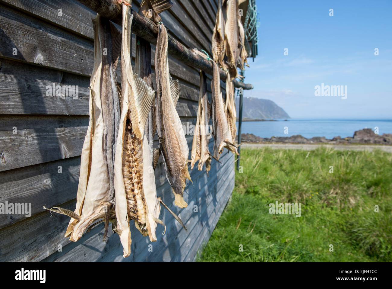 Honningsvag Nordkapp. Norwegisch. 06.23.2015.Trockenraum für norwegischen Kabeljau im Fischereihafen in Honningsvag Stockfoto