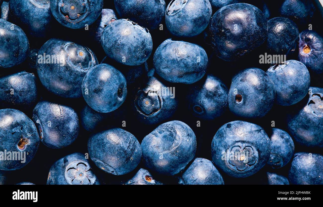 Haufen frischer Waldfrüchte. Full-Frame-Aufnahme der natürlichen Quelle von Vitaminen und Antioxidantien. Stockfoto