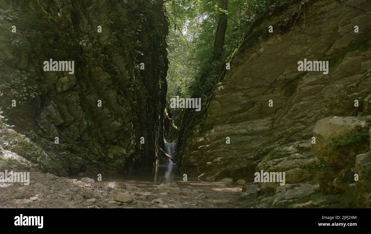 Atemberaubender natürlicher Hintergrund mit grüner enger Schlucht zwischen Bergen. Kreativ. Grüner Fluss in den Bergen an einem Sommertag im Schatten. Stockfoto