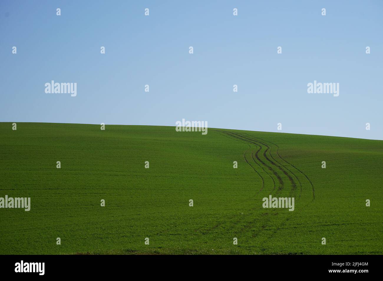 Schönes grünes Feld mit einer gewundenen Strecke auf der rechten Seite auf einem Hügel in der Nachmittagssonne im Herbst, mit dem blauen Himmel. Stockfoto