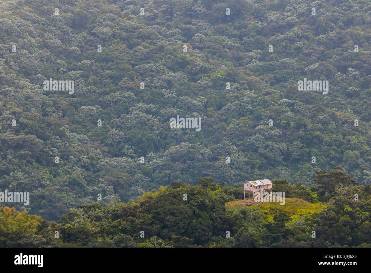 Berghaus auf Stelzen im El Yunque National Forest Puerto Rico 2017 Stockfoto