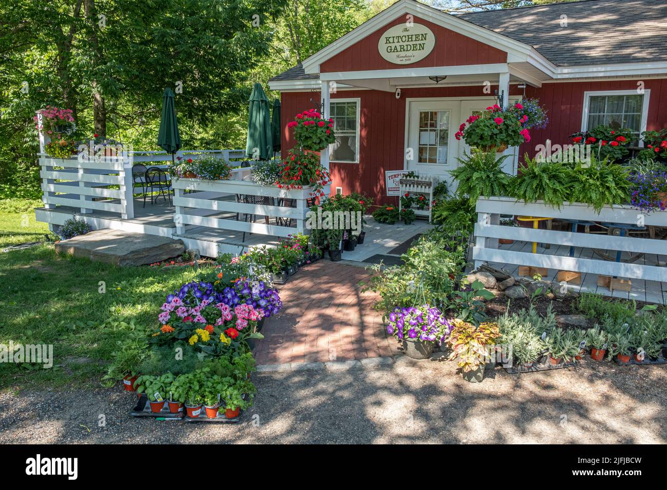 Blumen zum Verkauf in einem Geschäft in ländlichen Templeton, Massachusetts Stockfoto