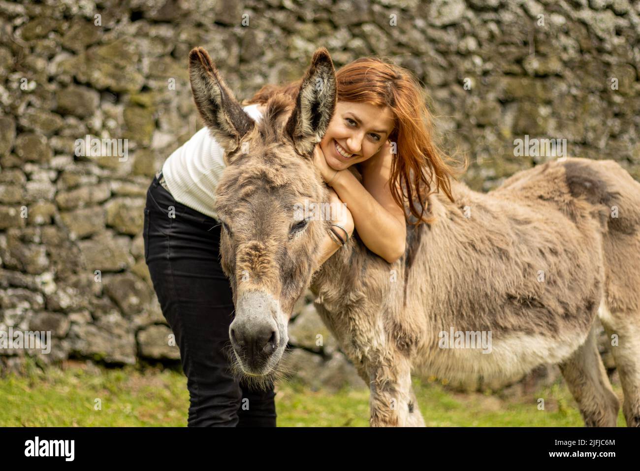 Mädchen mit Esel, Nutztiere und Person, nette Freundschaft. Stockfoto