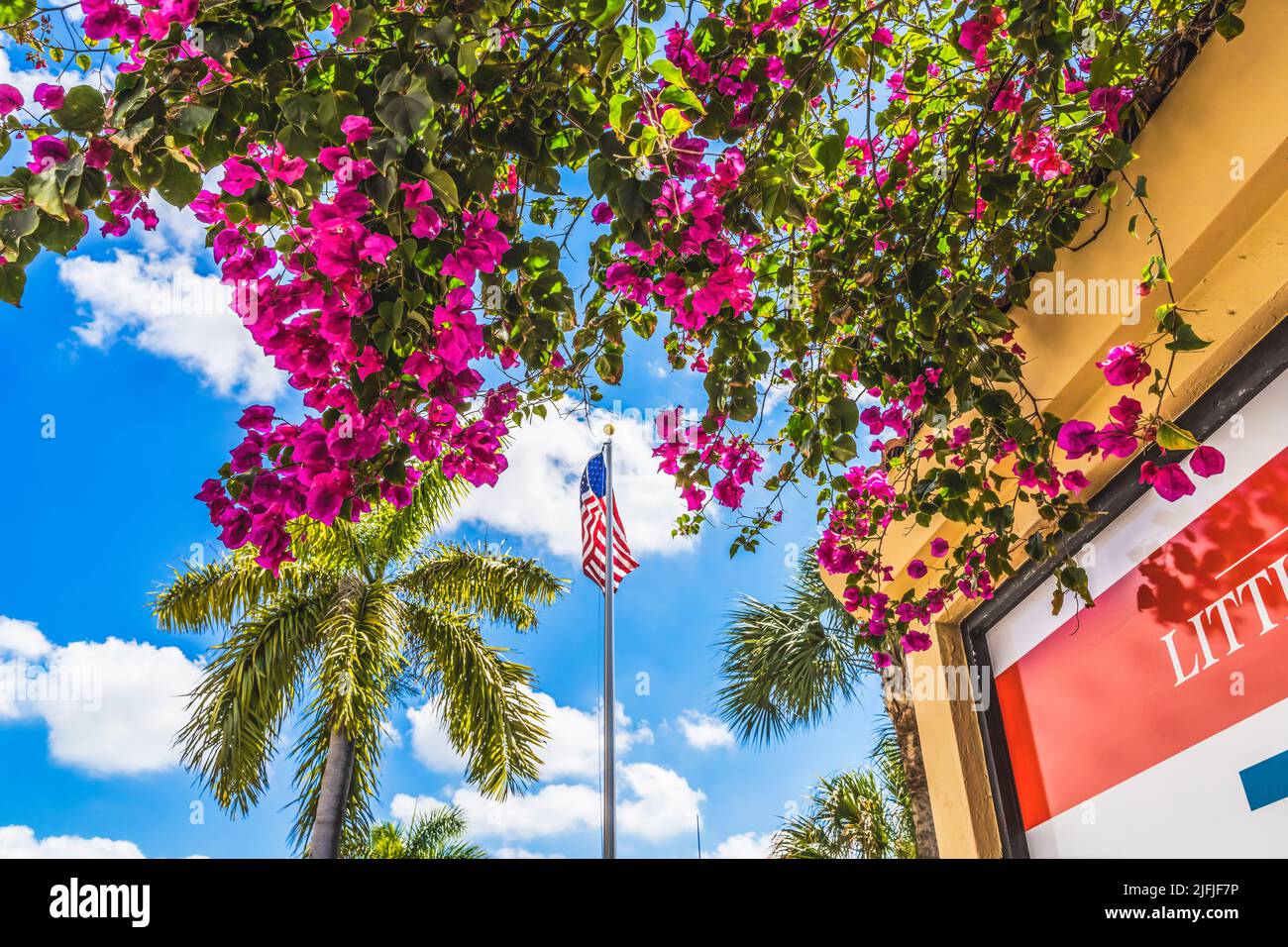 Red Bougainvillea US-Flagge Little Havana Miami Florida Little Havana ist der Ort, an dem viele kubanische Amerikaner mit kubanischen südamerikanischen Restaurants und Geschäften leben Stockfoto