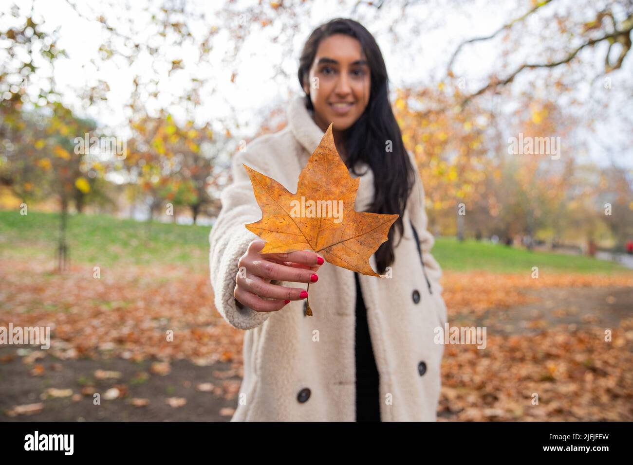 Mädchen hält ein orangefarbenes Blatt, das gerade vom Baum gefallen ist, in einem öffentlichen Park, konzentrieren Sie sich auf den Urlaub, Herbstkonzept Stockfoto