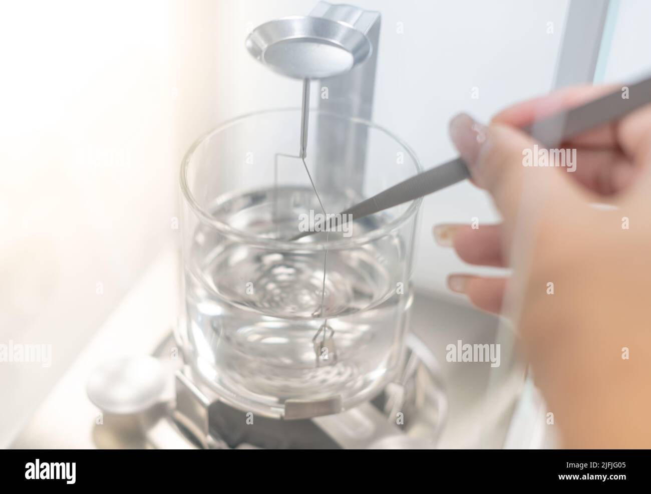 Die weibliche Hand benutzte eine Pinzette, um die spezifische Schwerkraft von Edelsteinen zu kalibrieren, um die Art von Stein mit der Hydrostatischen Wägewaage zu trennen. Stockfoto