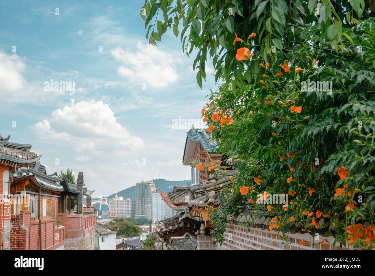 Sommer im Dorf Bukchon Hanok in Seoul, Korea Stockfoto