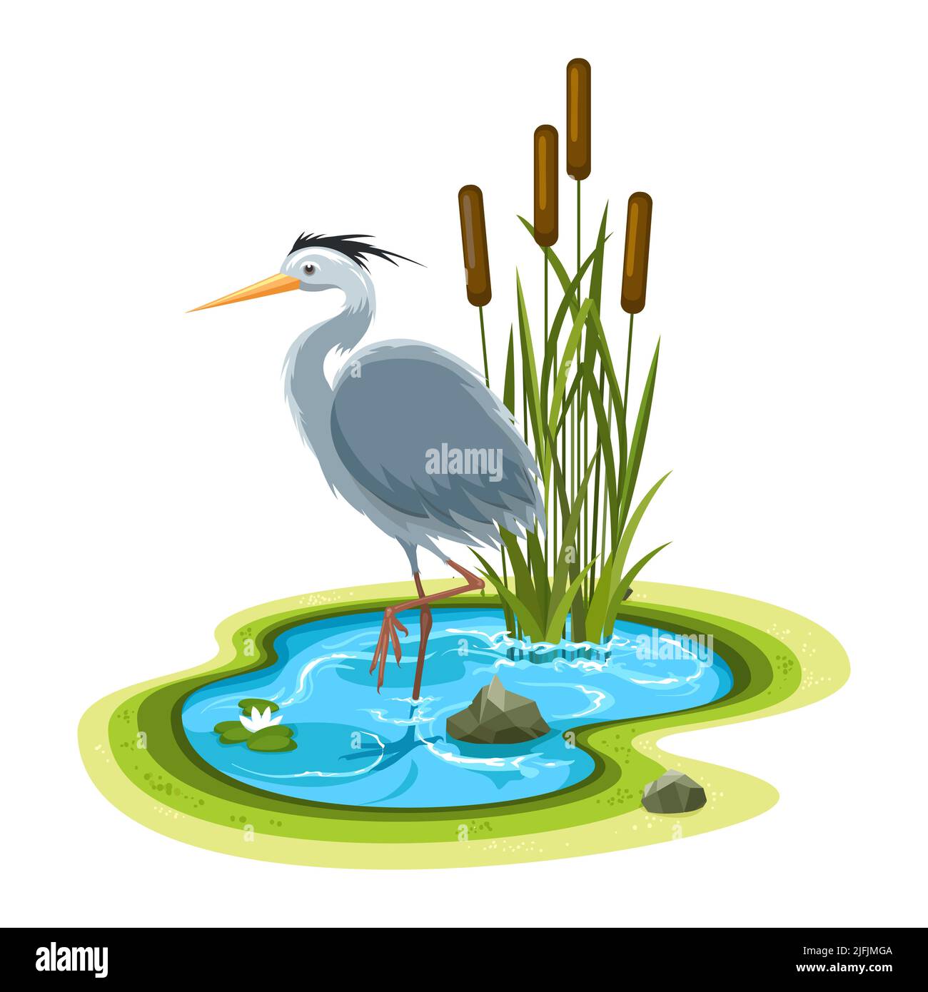 Reiher im Pool Stock Vektor