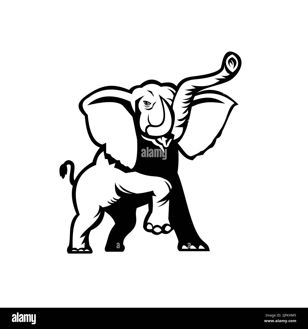 Schablonendarstellung eines afrikanischen Elefanten, Loxodonta, eines afrikanischen Buschelefanten oder eines afrikanischen Waldelefanten, der von vorne auf isoliert betrachtet tanzt Stockfoto