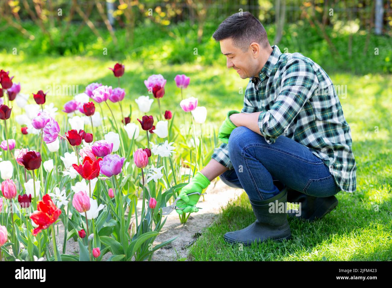 Mann mit dem Baumscheren, der sich im Garten um Blumen kümmert Stockfoto