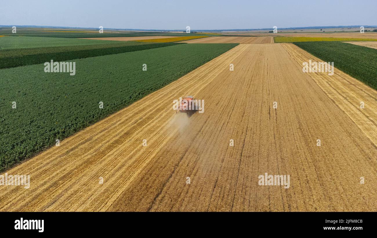 Ernte eines Weizenfeldes, Staubwolken - Luftaufnahme Stockfoto