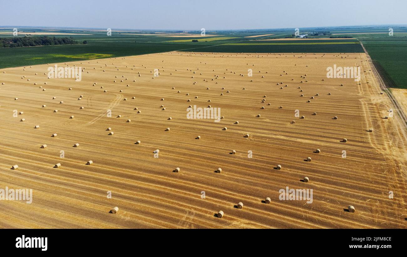 Luftaufnahme von geerntetem Weizenfeld und blauem Himmel im Hintergrund. Haystacks lagen auf dem landwirtschaftlichen Feld. Das Foto wurde mit Drohne aufgenommen. Stockfoto