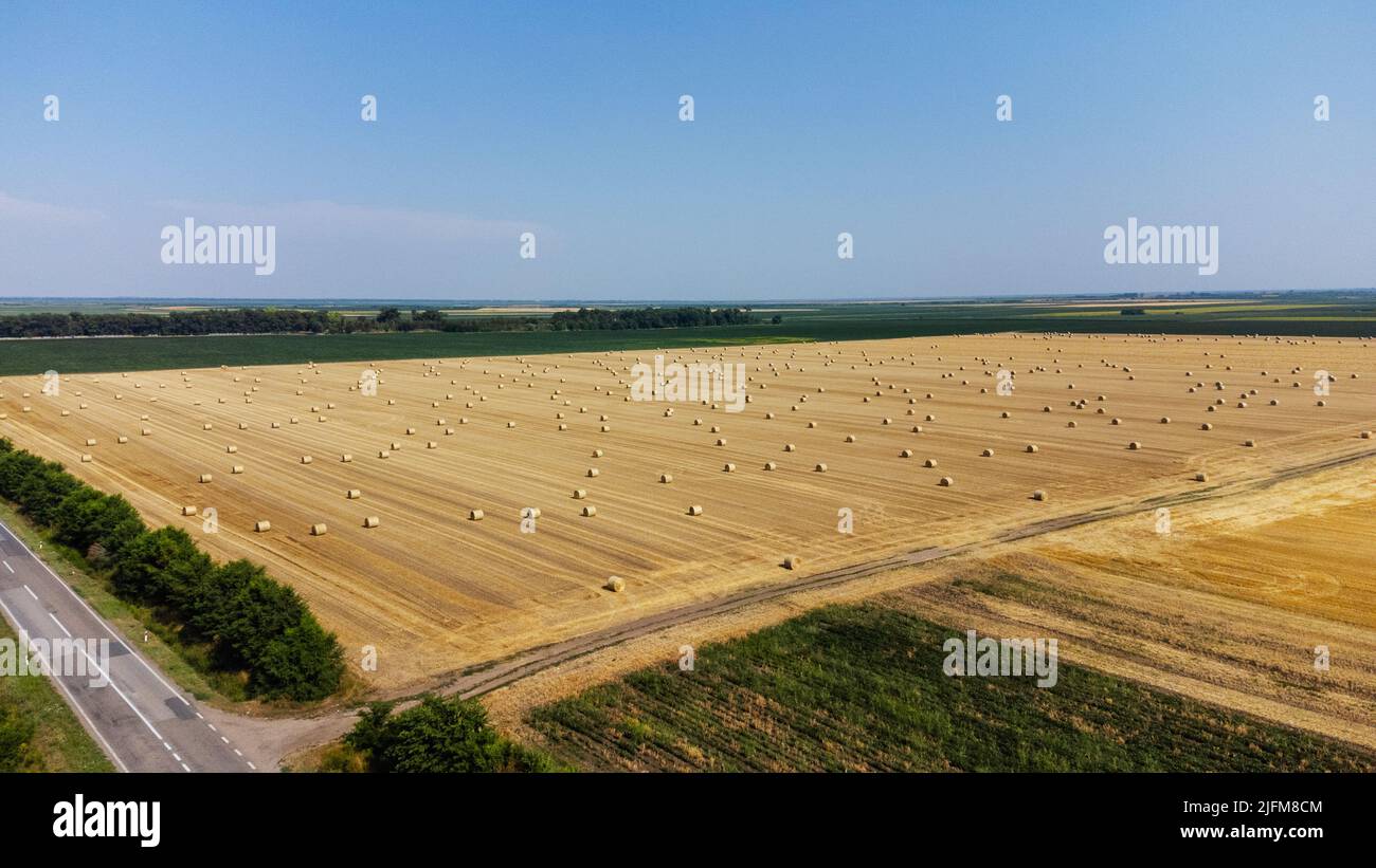 Luftaufnahme von geerntetem Weizenfeld und blauem Himmel im Hintergrund. Haystacks lagen auf dem landwirtschaftlichen Feld. Das Foto wurde mit Drohne aufgenommen. Stockfoto