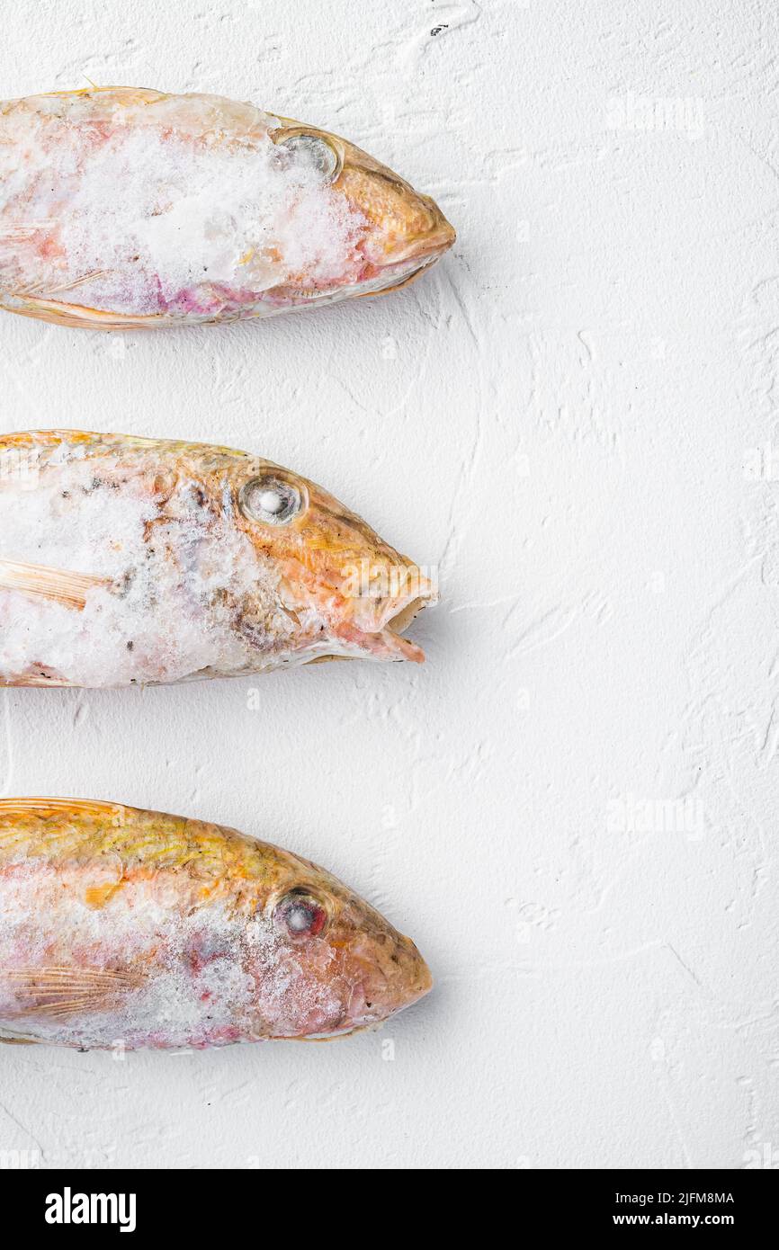 Gefrorener roher Fisch aus Ziegenfisch, auf weißem Steintischhintergrund, flache Lage von oben, mit Platz zum Kopieren von Text Stockfoto