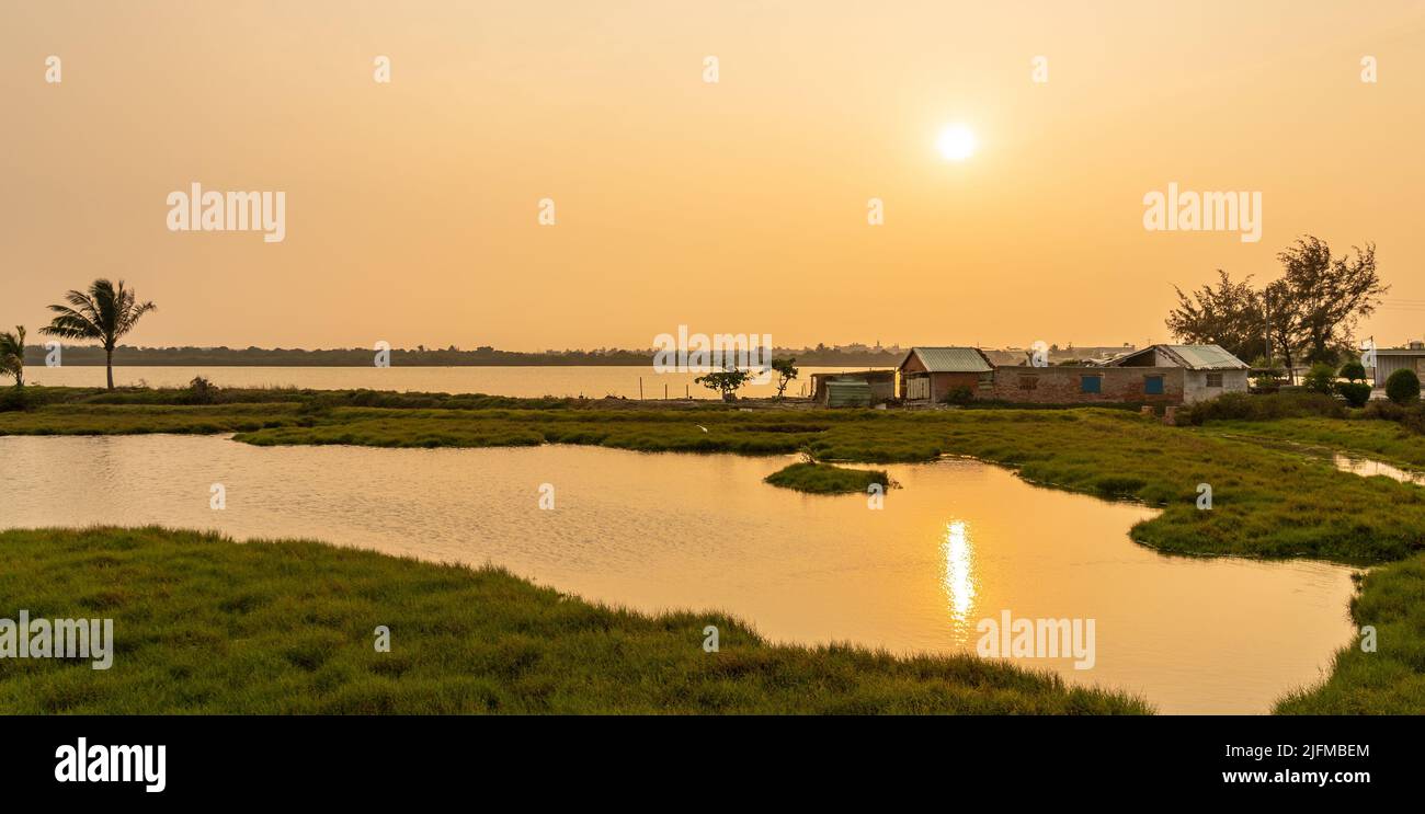 Paddy Field bei Sonnenuntergang. Asiatische Landschaft auf dem Land. Ländliche Dorflandschaft in Tainan, Taiwan. Stockfoto