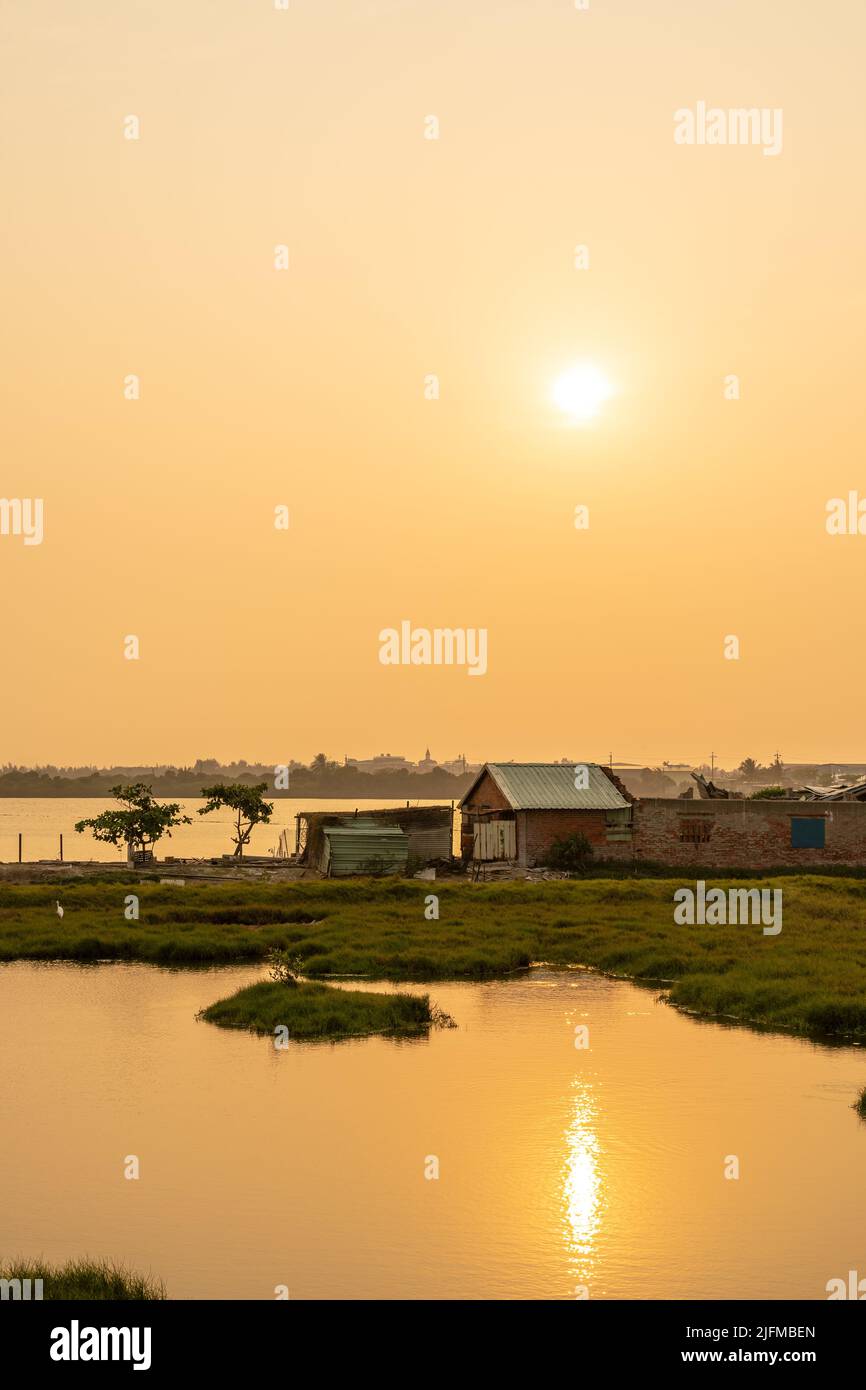 Paddy Field bei Sonnenuntergang. Asiatische Landschaft auf dem Land. Ländliche Dorflandschaft in Tainan, Taiwan. Stockfoto