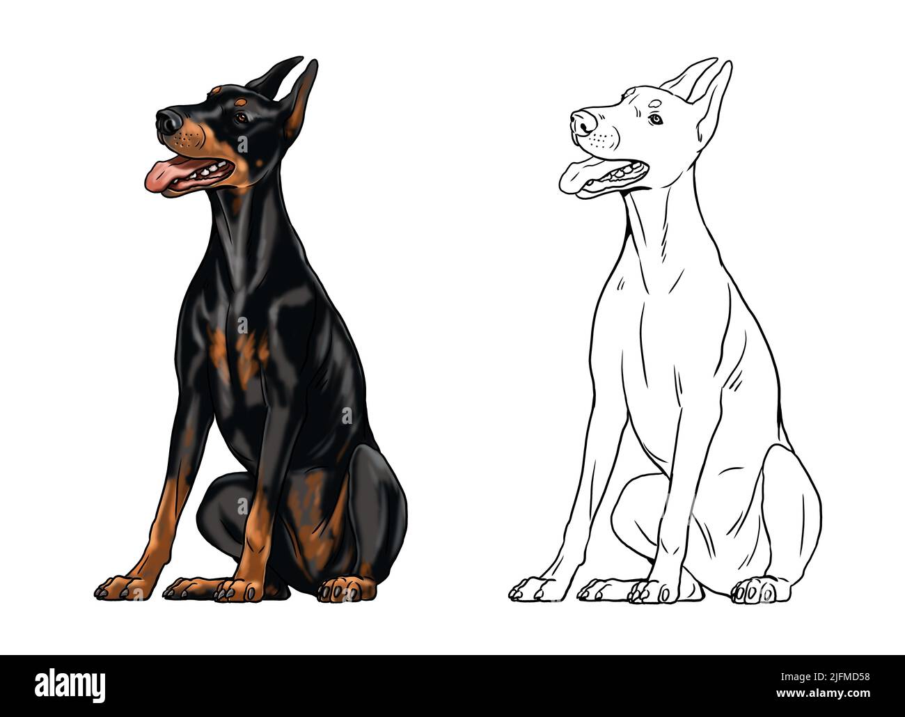 Niedliche Dobermann Zeichnung für zum ausmalen. Isolierte Illustration mit dem eleganten Hund. Schwarze Doberman Pinscher Zeichnung. Stockfoto