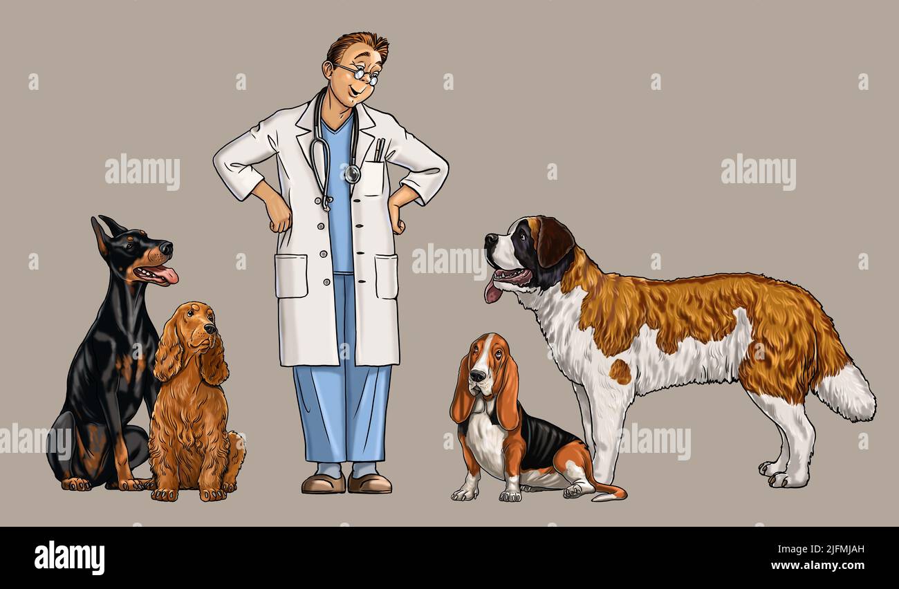 Freundlicher Tierarzt und seine Patienten. Tierarzt mit Hunden Illustration. Stockfoto