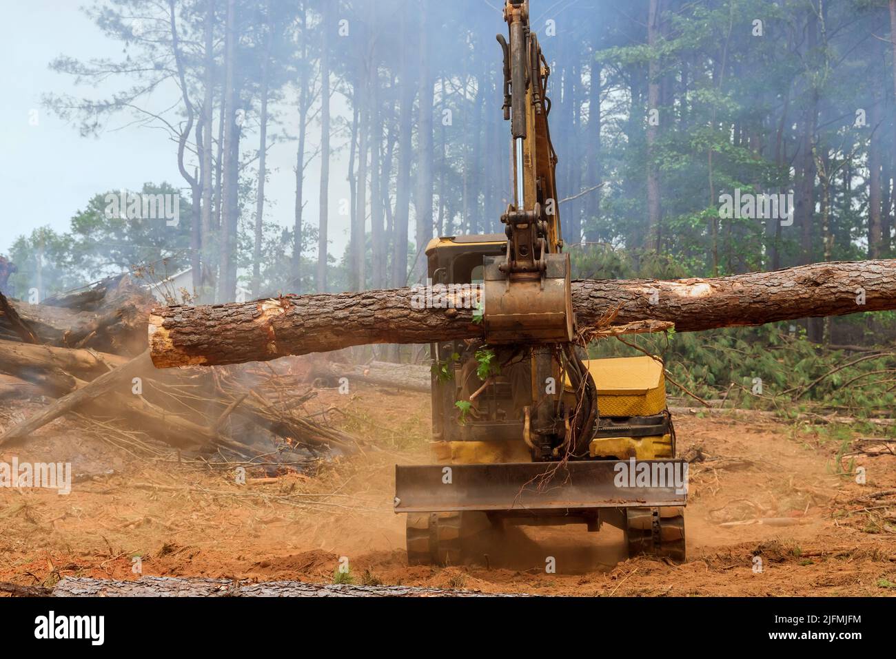 Im Wald führt es Arbeiten an Traktor Manipulator hebt Protokolle des Prozesses, um Land vorzubereiten Stockfoto