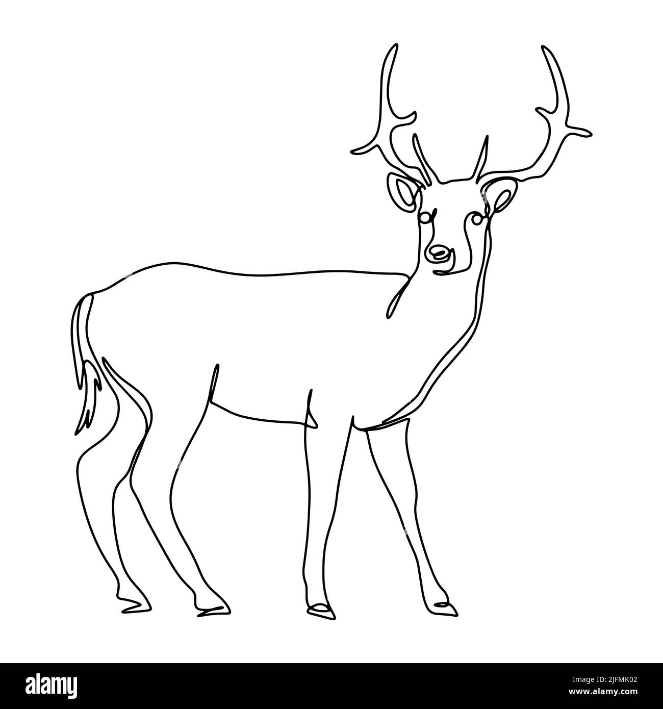 Wald Hirsch Linie Kunst Vektor Illustration. Schwarzer Umriss Silhouette Hirsch auf weißem Hintergrund. Gehörnter, eleganter Tierbock Stock Vektor