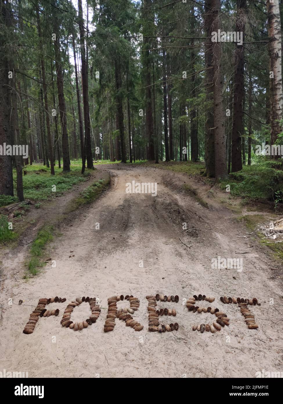 Waldsandstraße, auf der das Wort Wald mit Fichtenkegeln gesäumt ist Stockfoto