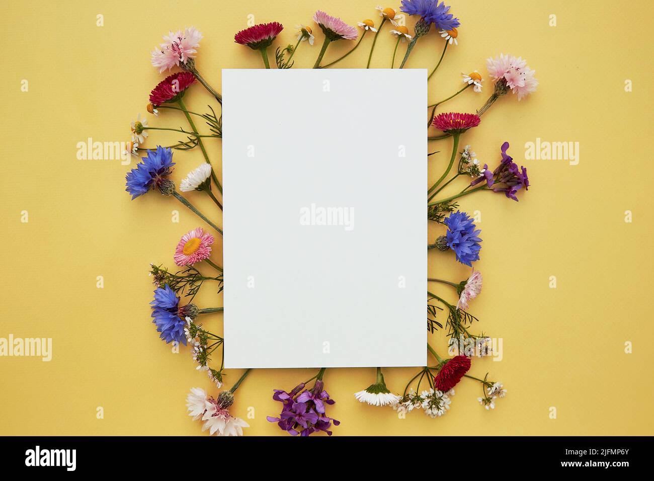 Wunsch oder Einladung mockup Briefpapier Karte. Geburtstag, Hochzeit, Muttertag kreative Karte Mock up Wildblumen flach legen. Für Text platzieren. Draufsicht Stockfoto