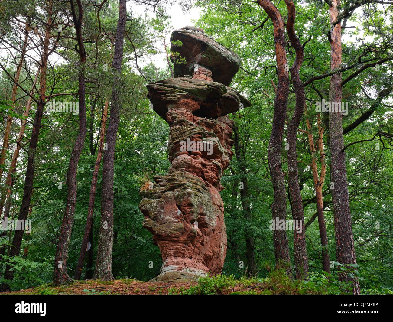 Sandstein-Hoodoo in den nördlichen Vogesen. Der Rocher de l'Homme in Dambach, Bas-Rhin, Elsass, Grand Est, Frankreich. Stockfoto