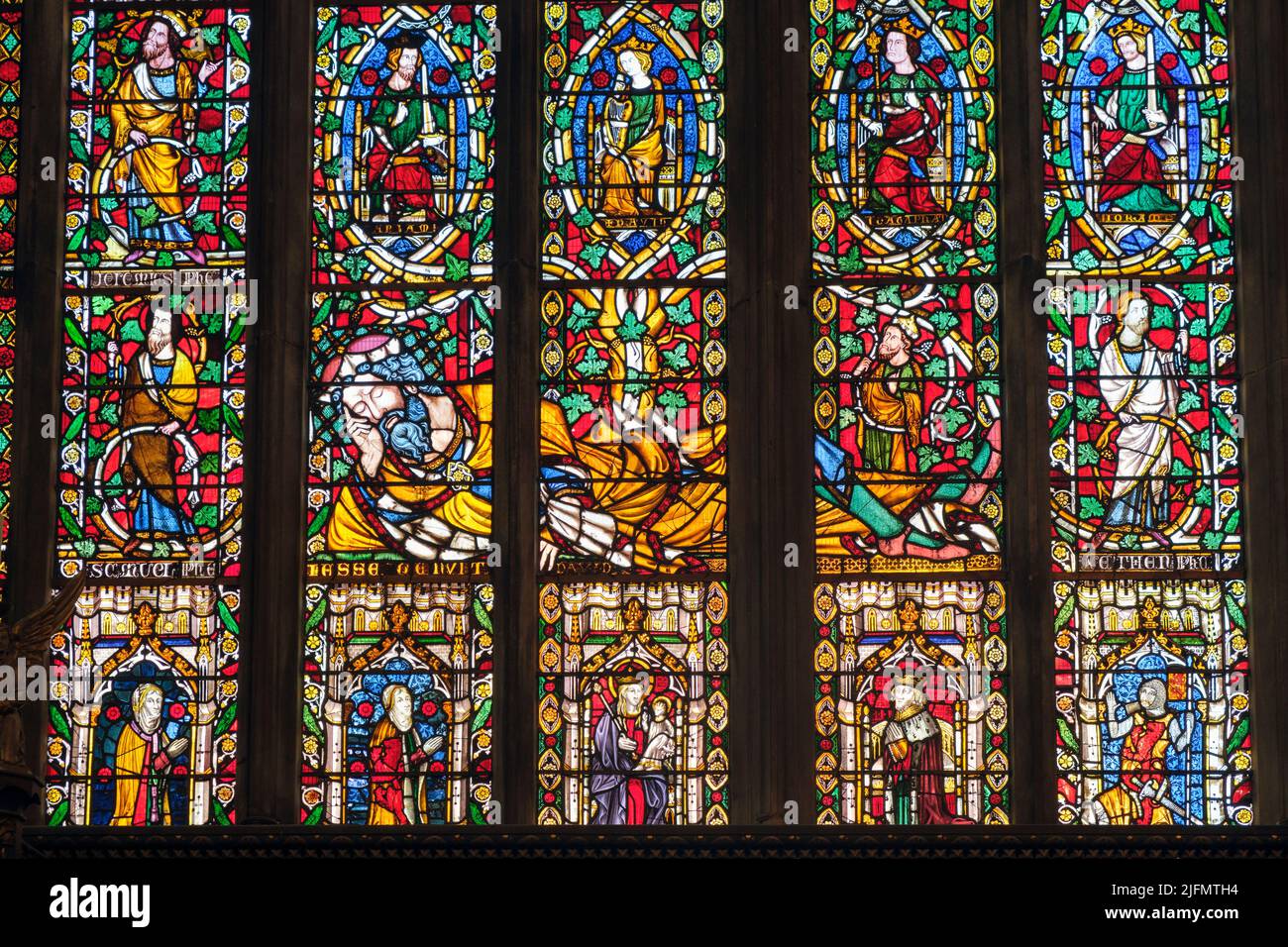 Das Jesse-Fenster, St. Mary's Church, Shrewsbury, Shropshire Stockfoto