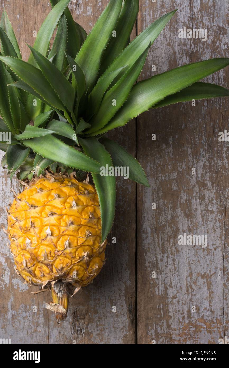 Frische, vollreife Ananas, die auf einer Holztischplatte, von oben mit Kopierfläche, aufgestellt wird Stockfoto