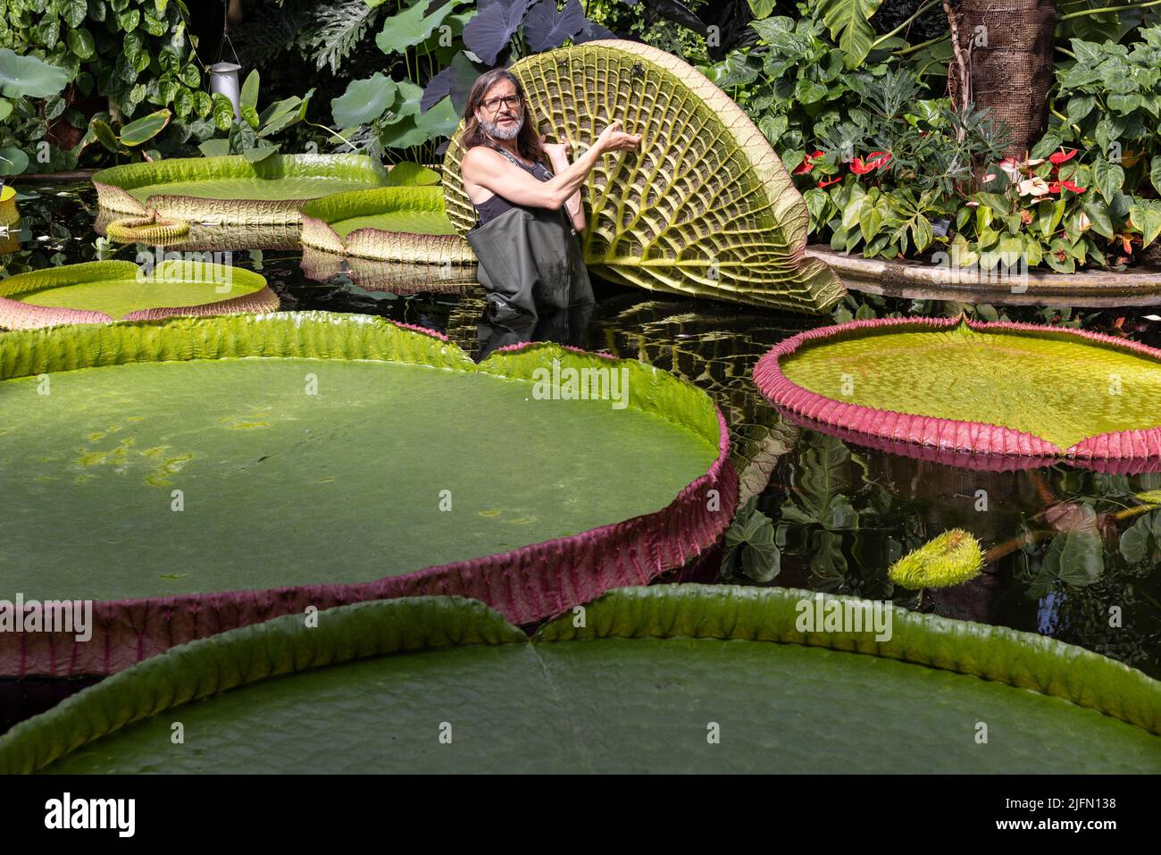 Gartenbaukünstler Carlos Magdalena mit der freiberuflichen botanischen Künstlerin Lucy Smith von Kew Gardens, Surrey, Großbritannien Stockfoto